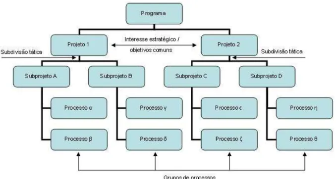 Figura 1 As áreas de abrangência de programas, projetos, subprojetos e processos.  
