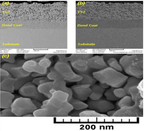 Fig. 1. SEM micrographs of cross sections (as-sprayed) of the: a) conventional coating; b) nanostructured coating; c)  FESEM image of outer surface morphology of the nanostructured YSZ 