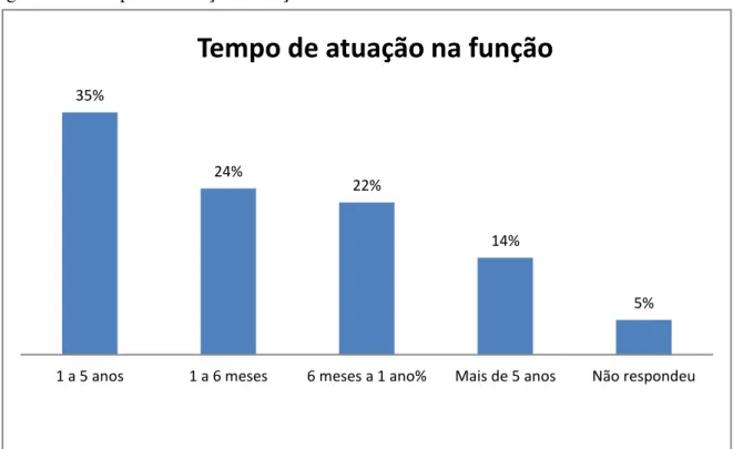 Figura 16 - Tempo de serviço na função 