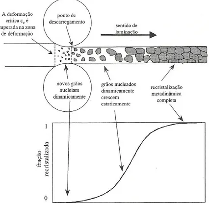 Figura  2.4  Representação  esquemática  da  evolução  da  recristalização  metadinâmica durante a laminação a quente [22]