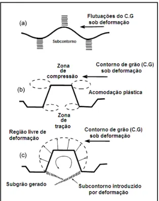 Figura 2.7 Representação esquemática da nucleação de novos grãos DRX: (a)  Distorção e flutuações do contorno; (b) Contorno parcialmente cisalhado; (c)  Encurvamento do contorno de grão induzido por deformação [48]