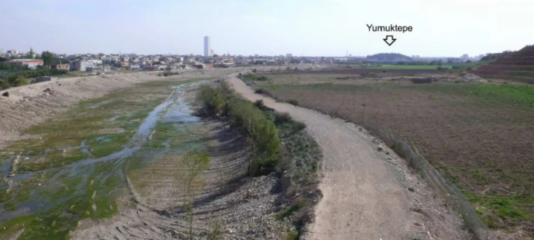 Fig. 5. A view of the Kizil Dere Valley north-west of the Yumuktepe (2008).