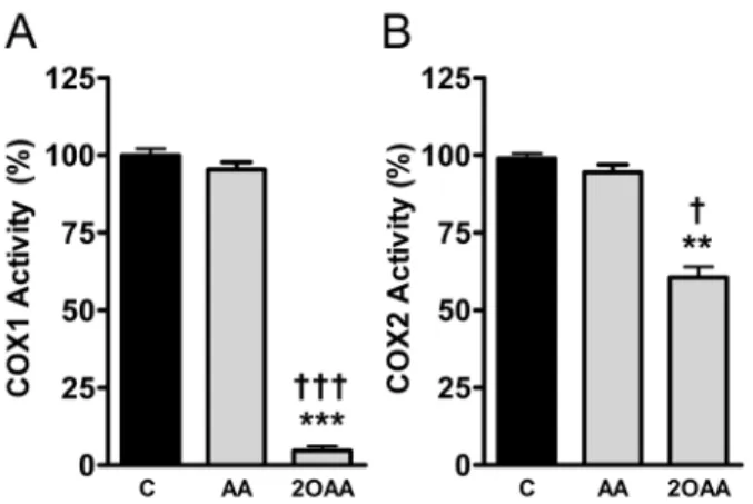 Figure 4. 2OAA decreases LPS-induced COX2 protein levels in differentiated human U937 cells challenged with LPS