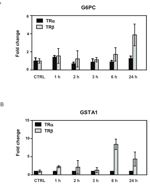 Figure 4. Verification of TRb preference of late responding genes. qPCR analysis of T 3 induction of two genes (A, G6Pc and B, GSTA1) identified as preferential late TRb responders