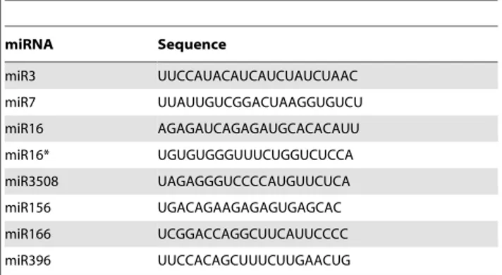 Figure 2. qRT-PCR validation and expression analysis of miRNAs in peanut.