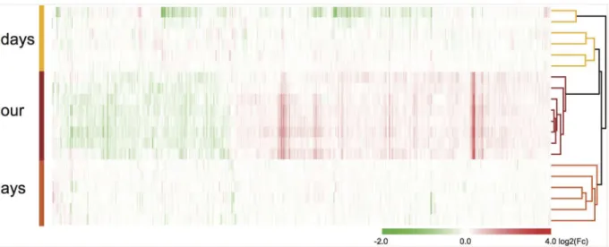 Fig 2. Hierarchical clustering analysis of mRNA expression after eFS. Hierarchical clustering analysis of differentially expressed genes (930) in all experimental littermate couples (1 hour, 3 and 14 days post-eFS)