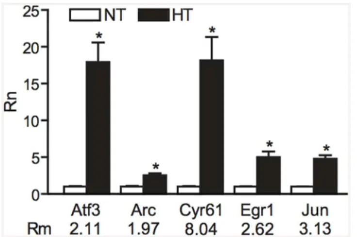 Fig 3. Validation of microarray results by qPCR analysis. Gene expression levels as determined by qPCR (Rn) in normothermic (NT) and hyperthermic (HT) animals compared to fold-change in expression of 5 genes as detected by microarray analysis (Rm)