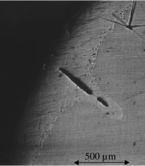 Fig. 4. Optical micrograph (reflection mode) of the cross-section of a sample of 55 % green  density pressure filtered nano 3Y-TZP sintered at 10 °C/min to 1250 °C for zero time (91 % 
