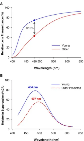 Figure 4. Changes in lens transmittance with aging and predicted impact on non-visual spectral sensitivity to light.