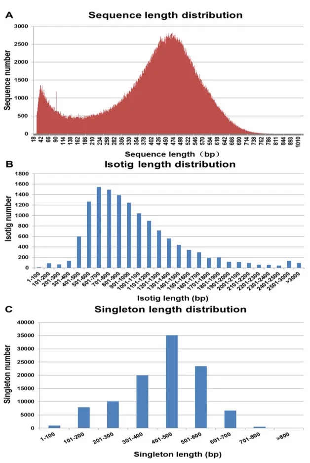 Figure  1.    Length  distribution  of  Liaoning  cashmere  goat  transcriptomic  sequences