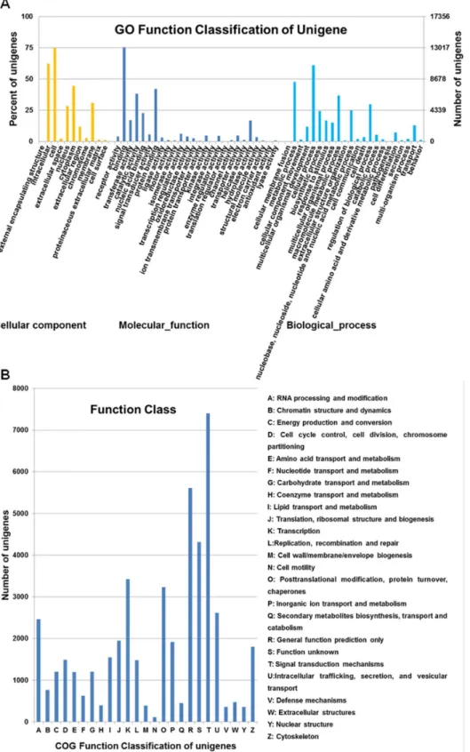 Figure 3.  GO and COG classifications of unigenes derived via Roche 454 sequencing of the Liaoning cashmere goat