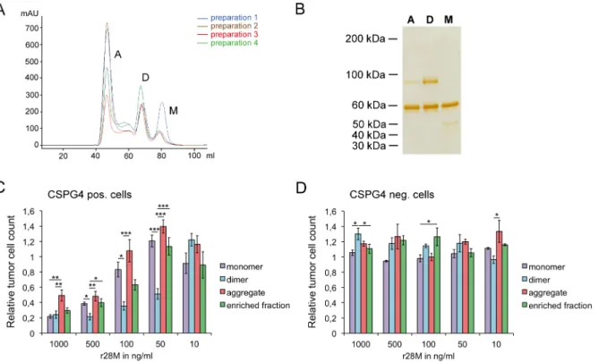 Fig 4. Analysis of the different r28M fractions after size exclusion chromatography (SEC)