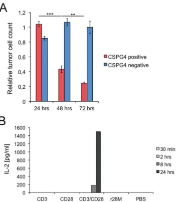 Fig 2. Specificity and time dependence of the biological activity of r28M. (A) CSPG4 positive (IPC-298) or negative cells (U-251 MG) were incubated together with PBMC and 1000 ng/ml enriched r28M fraction in a final volume of 150 μl for 24, 48 as well as 7