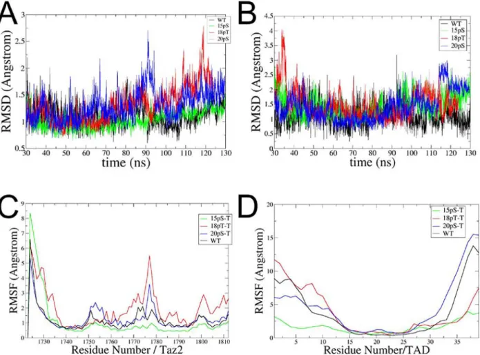Fig 2. Backbone RMSD vs time and RMSF plots. (A) Plot of the Backbone RMSD of TAZ2 along the simulation