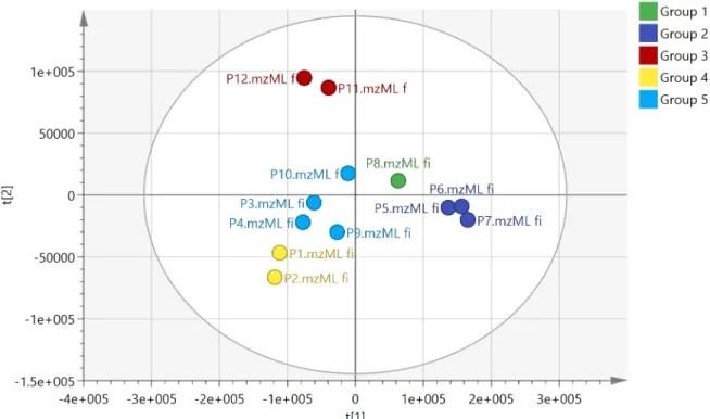 Fig 2. PCA with HCA based on the 300 most intense features obtained in negative ion mode for the 12 propolis samples R 2 X 0.689, Q 2 0.48.