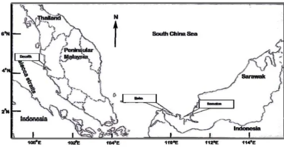 Table 1. The descriptions of the sampling locations and information on the Cerithidea obtusa collected.