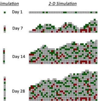 Figure 3 shows a detailed flow chart of the agent-based modeling algorithm.