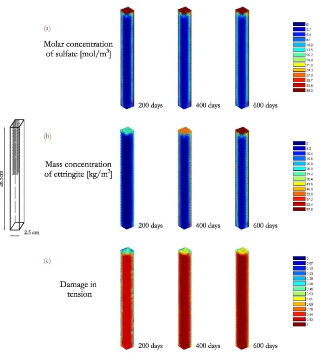 Figure 1: External sulfate attack on a mortar specimen: a) sulfate concentration, b) ettringite concentration and c) damage for three  different exposure times (200, 400, 600 days)