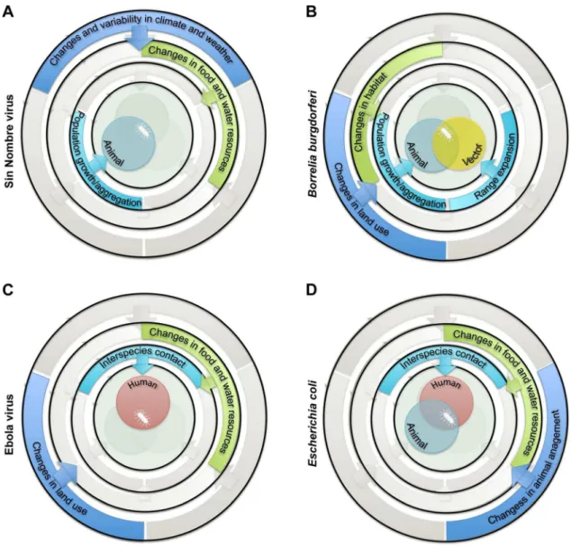 Figure 2. Examples of sets of drivers and ecological processes implicated in the emergence of zoonotic pathogens in humans