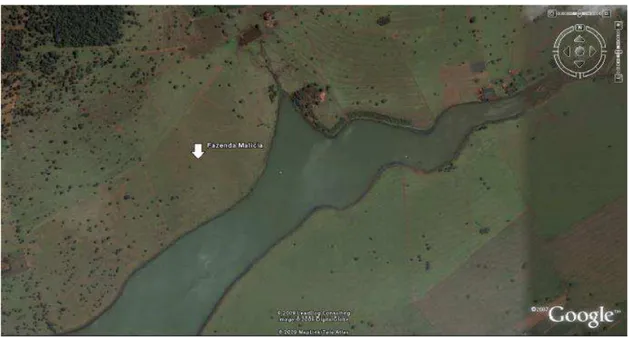 Figura 8: Localização da área no período anterior da etapa do segundo  reflorestamento em 2008 ser reflorestado na Fazenda Malícia, Santa Vitória-MG 