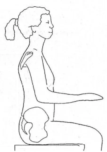 Figura 2.1  –  Postura sentada normal (ZOLLARS, 1996). 