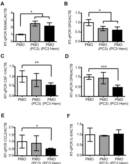 Figure  3.    Co-culture  with  HO-1-induced  PC3  cells  decreased  the  expression  of  osteoclast-modulating  factors  in osteoblasts