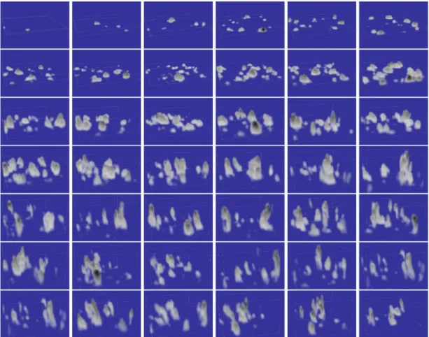 Fig. 3. Large eddy simulation of the diurnal cycle of shallow cumulus convection over SGP site of the ARM program (Brown et al., 2002)