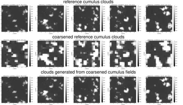 Fig. 4. Reflectivity fields of some selected scenes of the cumulus diurnal cycle presented in Sect
