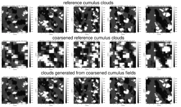 Fig. 5. Reflectivity fields of some selected scenes of the cumulus diurnal cycle presented in Sect