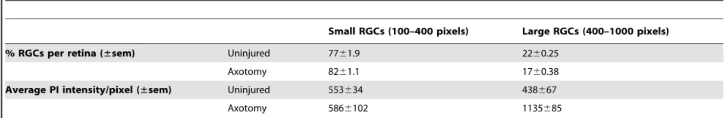 Table 2. Cell size distribution and propidium iodide (PI) intensity in the retina 5 days after axotomy.