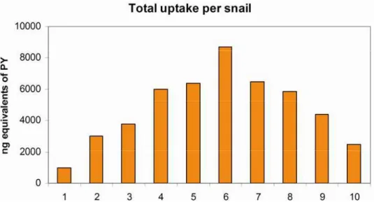 Fig. 1 Body burden of ten snails exposed to the highest level of pyrene (PY) spiked in food and representing  5,000 ng per snail for a total of 50,000 ng in 200 mg of fish or 250,000 ng/g fish