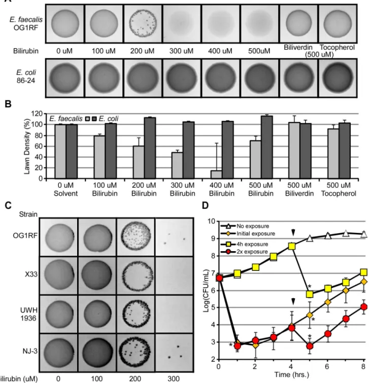 Figure 4. Bilirubin decreases the viability of E. faecalis . (A) An equal number of CFUs of E