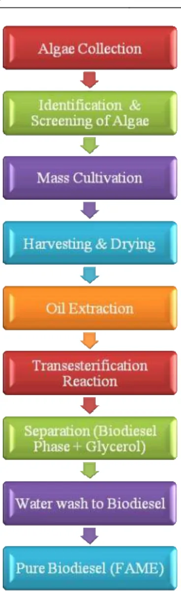 Figure 2. Process for Biodiesel production from microalgae 