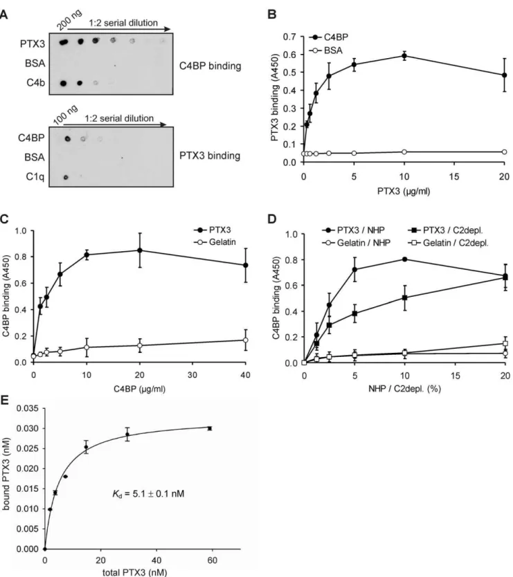 Figure 1. PTX3 interacts with the classical and lectin complement pathway regulator C4BP