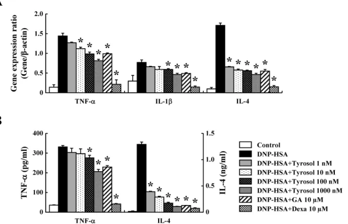 Fig 4. Effects of tyrosol on inflammatory cytokine expression. (A) RBL-2H3 cells (5 × 10 5 /well) were sensitized with anti-DNP IgE (50 ng/ml)