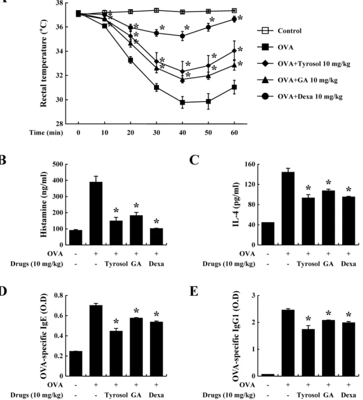Fig 1. Effects of tyrosol on ovalbumin-induced active systemic anaphylaxis. Induction of systemic anaphylaxis and oral administration of drugs including tyrosol, GA, and Dexa were described in the Materials and methods section