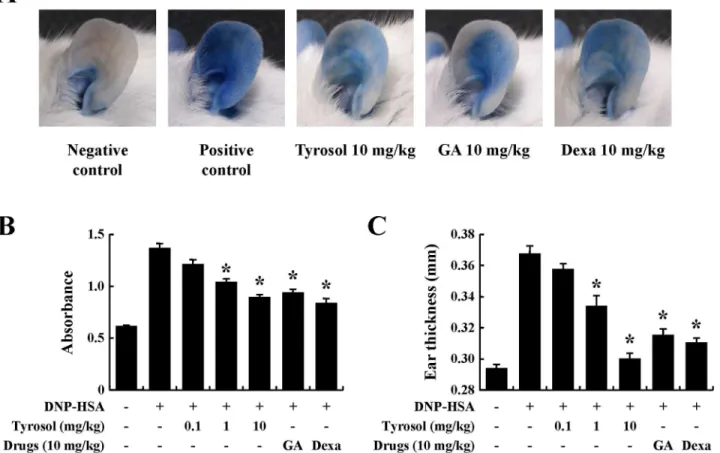 Fig 2. Effects of tyrosol on IgE-mediated passive cutaneous anaphylaxis. Mouse ear skin (n = 5/group) was sensitized with an intradermal injection of anti-DNP IgE (0.5 μg/site) for 48 h