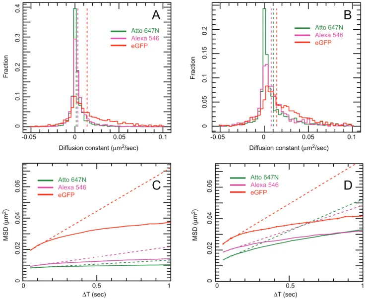 Figure 9. Side-by-side comparison of mean squared displacement (MSD) curves and diffusion coefficient (D) histograms from CHO- CHO-EGFR-eGFP cells grown on uncoated glass vs
