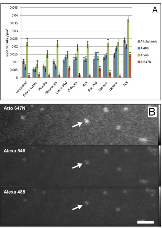 Fig. 4 shows that the background signal of the cells is in the same range as that of the unlabelled dishes (Fig