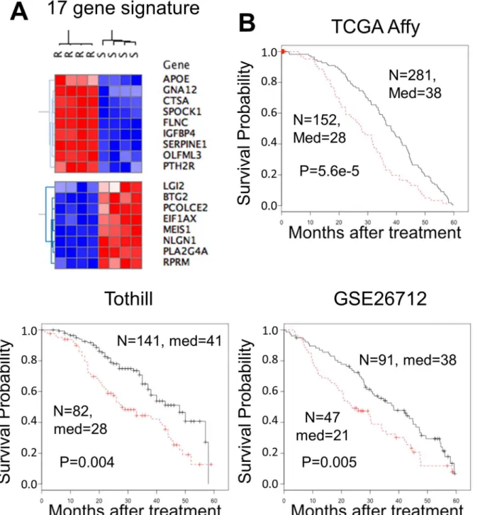 Fig 5. A 17 cisplatin resistance gene expression signature was associated with shorter survival across three independent datasets and distinguishes OVCAR-8R from OVCAR-8 cells