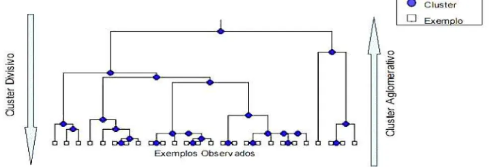 Figura  2:  Modelo  de  um  dendograma,  seus  componentes  e  diferença  entre  Clusters  Hierárquicos Aglomerativo e Divisivo