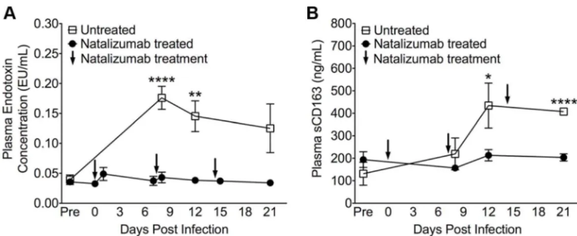 Figure 5. Reduced LPS and sCD163 levels in plasma with early natalizumab treatment. (A) There were high levels of LPS in plasma on 8, 12, and 21 dpi in control macaques, with significant differences between natalizumab treated (represented by arrows at 0, 