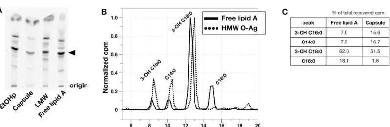 Fig 4. Fatty acid analysis of lipid released from HMW O-Ag capsule by mild acid treatment