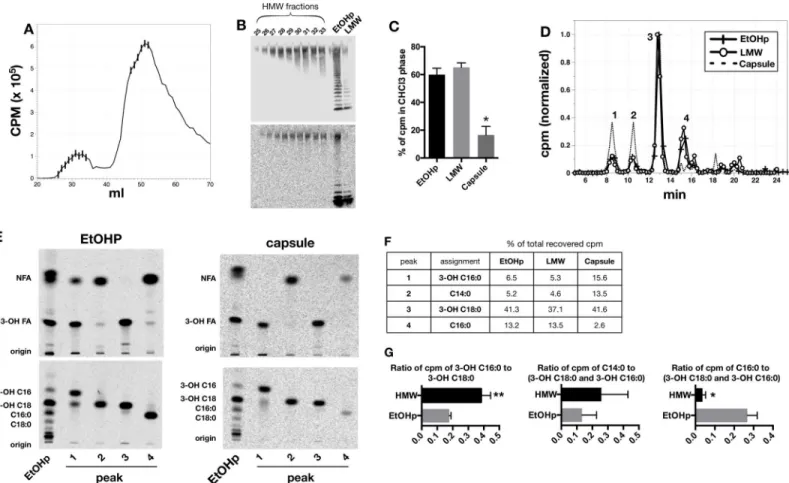 Fig 3. Fatty acid analysis of HMW O-Ag capsule. A) Elution of [ 14 C] labeled species during deoxycholate/Sephacryl S-200 chromatography of radiolabeled EtOHp (larger sample input)