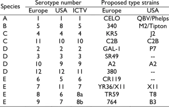 Table 2: Classification of fowl adenoviruses  (Jensen and  Villegas, 2005) 