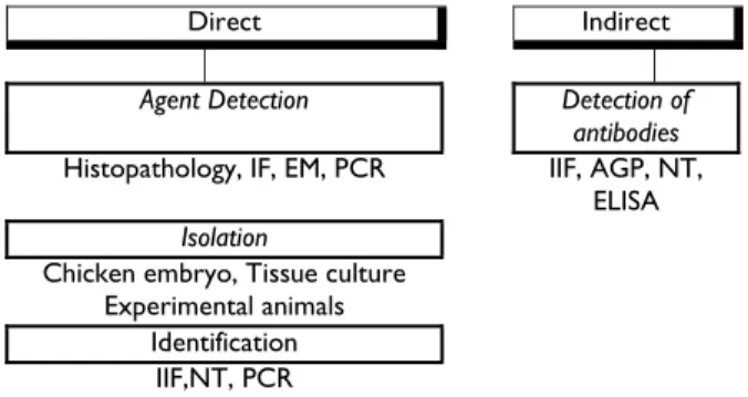 Fig. 1: Laboratory diagnosis of poultry diseases 
