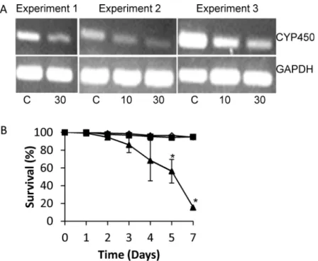 Fig 5. Effect of silencing Schistosoma mansoni CYP450 in cultured larval worms. Freshly prepared schistosomula (300–400) were placed in each well containing 1 ml Basch’s Media in a 24-well plate and overnight in a 37°C with 5% CO2