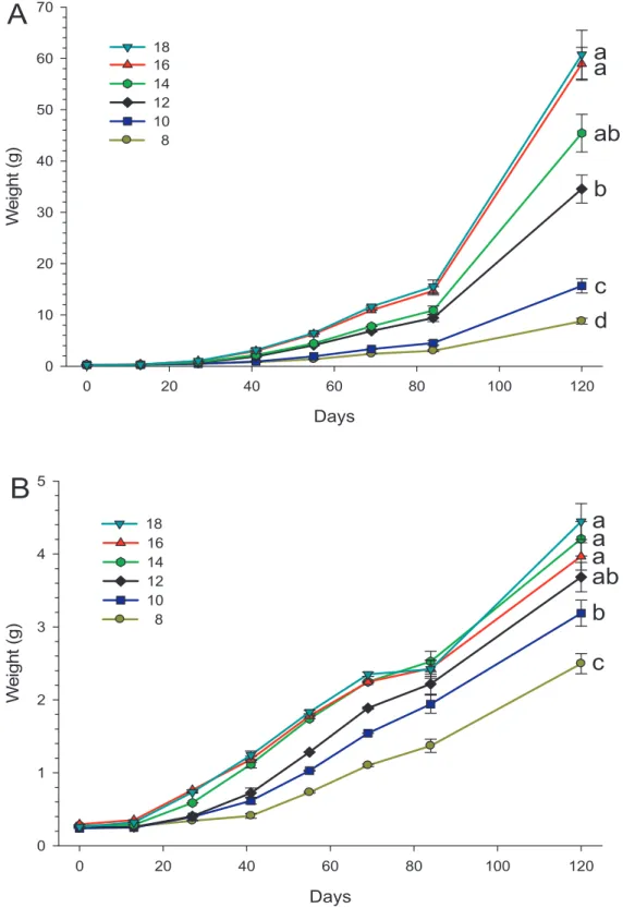 Figure 4. Growth of transgenic (A) and wild-type (B) coho salmon juveniles. Juveniles were reared from first-feeding until an age of 120 days at temperature from 8 to 18uC