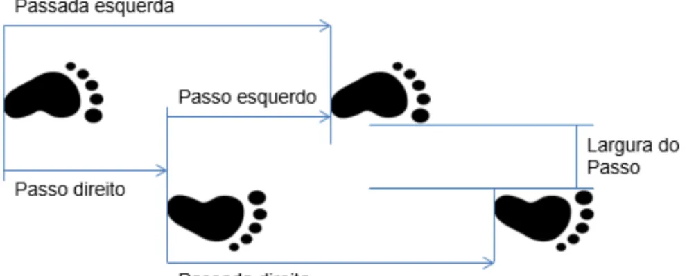Figura 1 - Representação do passo, passada e largura do passo. 