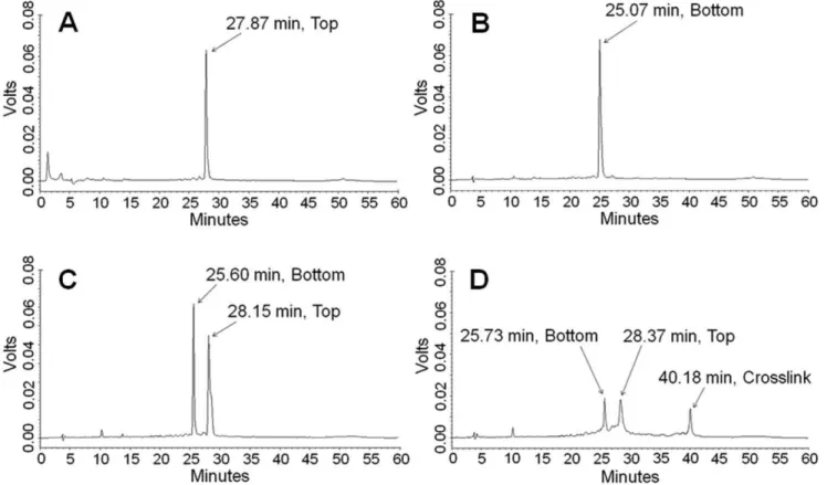 Figure 1. HPLC-UV chromatograms of DNA and the mechlorethamine-crosslinked DNA duplex